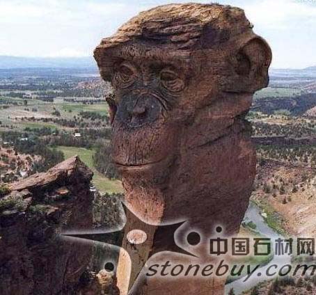 奇石--肖像石的收藏保养技巧 （图） - 新媒体情报驿站