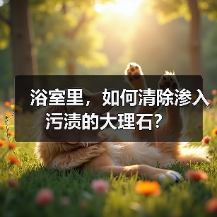 浴室里,如何清除渗入污渍的大理石?(图4) 浴室里,如何清除渗入污渍的大理石?(图4)