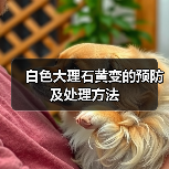 白色大理石黄变的预防及处理方法(图4)