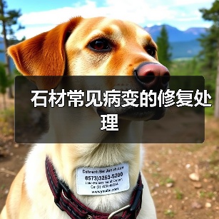 石材常见病变的修复处理(图4)