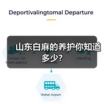 山东白麻的养护你知道多少?(图2) 山东白麻的养护你知道多少?(图2)