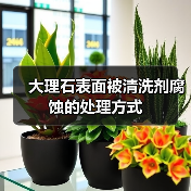 大理石表面被清洗剂腐蚀的处理方式(图4)