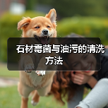 石材霉菌与油污的清洗方法(图3)