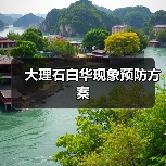 大理石白华现象预防方案(图4) 大理石白华现象预防方案(图4)