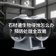 石材遭生物侵蚀怎么办？预防处理全攻略(图1)