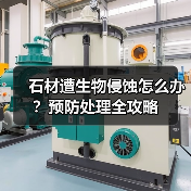 石材遭生物侵蚀怎么办？预防处理全攻略(图2)