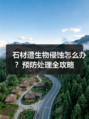 石材遭生物侵蚀怎么办？预防处理全攻略(图3)