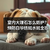 室内大理石怎么防护？预防白华锈斑水斑全攻略(图1)
