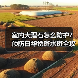 室内大理石怎么防护？预防白华锈斑水斑全攻略(图3)