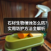 石材生物侵蚀怎么防?实用防护方法全解析(图4) 石材生物侵蚀怎么防?实用防护方法全解析(图4)
