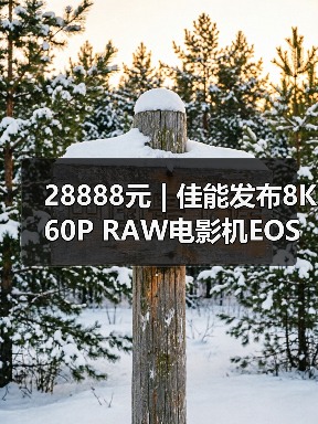 28888元 | 佳能发布8K60P R