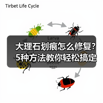 大理石划痕怎么修复?5种方法教你轻松搞定(图2) 大理石划痕怎么修复?5种方法教你轻松搞定(图2)