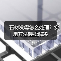 石材发霉怎么处理?实用方法轻松解决(图4) 石材发霉怎么处理?实用方法轻松解决(图4)