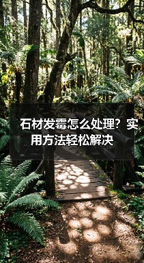 石材发霉怎么处理?实用方法轻松解决(图2) 石材发霉怎么处理?实用方法轻松解决(图2)