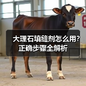 大理石填缝剂怎么用?正确步骤全解析(图3) 大理石填缝剂怎么用?正确步骤全解析(图3)