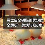 爵士白全铺贴的优缺点全解析:美观与维护如何平衡?(图4) 爵士白全铺贴的优缺点全解析:美观与维护如何平衡?(图4)