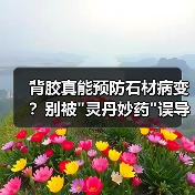 背胶真能预防石材病变?别被 背胶真能预防石材病变?别被灵丹妙药误导了(图1)