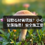 背胶石材省铜丝?小心坠落隐患!安全施工要点解析(图1) 背胶石材省铜丝?小心坠落隐患!安全施工要点解析(图1)