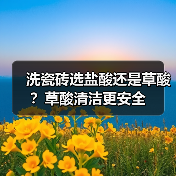 洗瓷砖选盐酸还是草酸？草酸清洁更安全 - 新媒体情报驿站