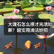 大理石怎么擦才光洁如新?超实用清洁妙招(图2) 大理石怎么擦才光洁如新?超实用清洁妙招(图2)