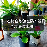 石材白华怎么防?这几个方法很实用!(图4) 石材白华怎么防?这几个方法很实用!(图4)
