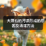 大理石的污渍形成的原因及清洁方法(图1) 大理石的污渍形成的原因及清洁方法(图1)