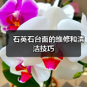 石英石台面的维修和清洁技巧(图2)