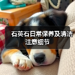 石英石日常保养及清洁注意细节(图4) 石英石日常保养及清洁注意细节(图4)