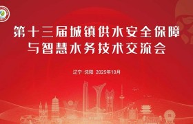 回望十二载同行路，见证威派格坚守与创新