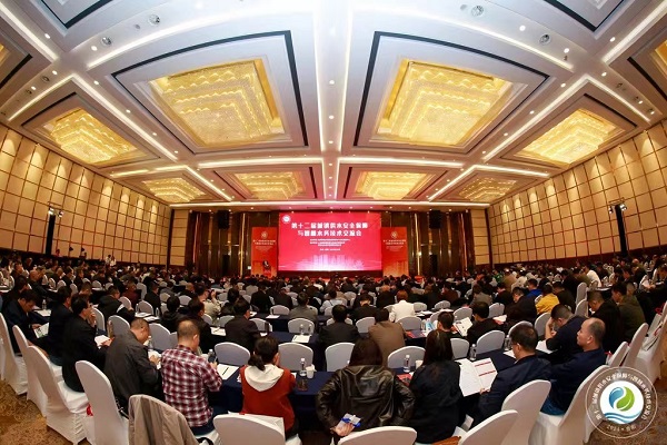 回望十二载同行路，见证威派格坚守与创新(图3)