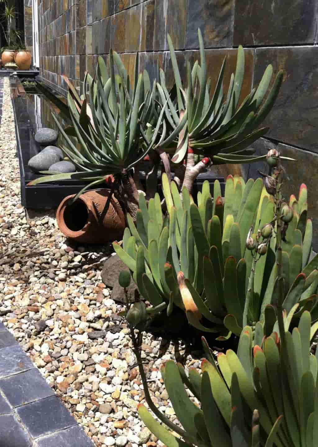 泊于林海的永恒之舟 艺术家晨晓的新西兰自然主义建筑宣言(图5)