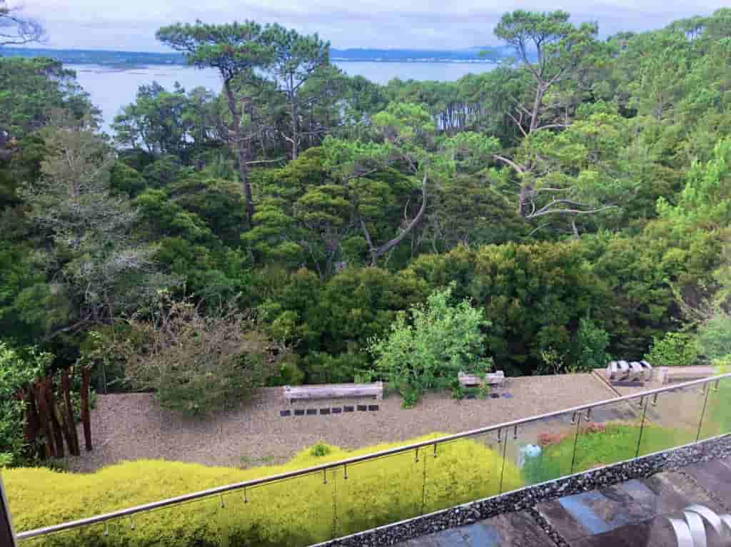 泊于林海的永恒之舟 艺术家晨晓的新西兰自然主义建筑宣言(图11)