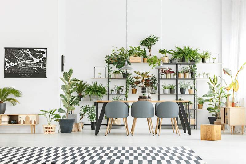 实木地板选错材质竟会开裂变形,3个安装秘诀避免踩坑(图1) 实木地板选错材质竟会开裂变形,3个安装秘诀避免踩坑(图1)